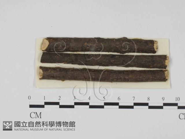 登錄號:F0011378藏品圖，第1張