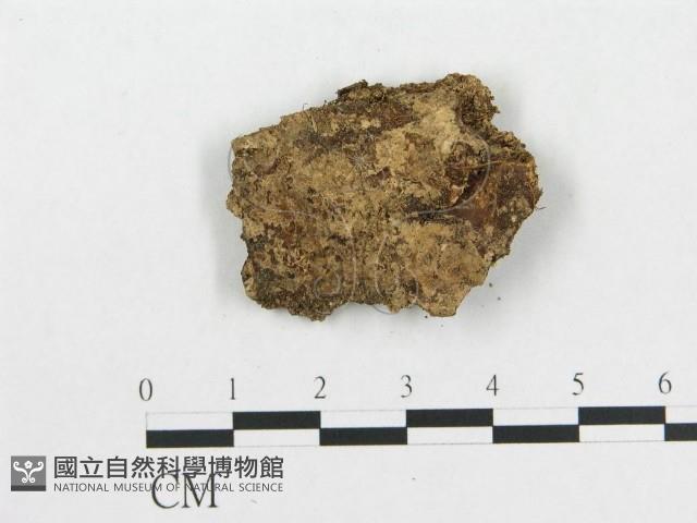 登錄號:F0004378藏品圖，第1張