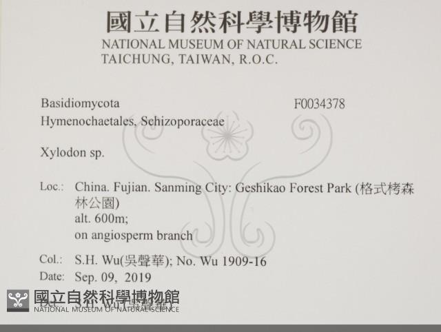 Accession Number:F0034378 Collection Image, Figure 1, Total 2 Figures