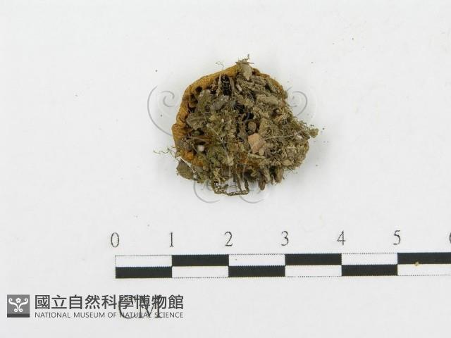 登錄號:F0012378藏品圖，第1張