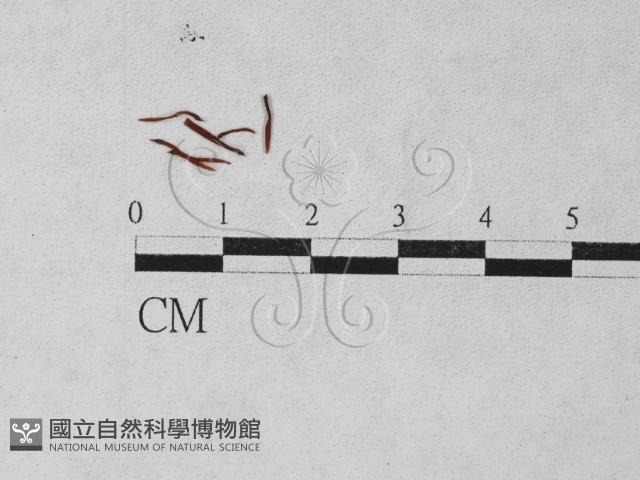 登錄號:F0027378藏品圖，第1張