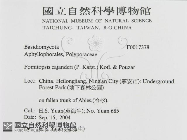 登錄號:F0017378藏品圖，第3張
