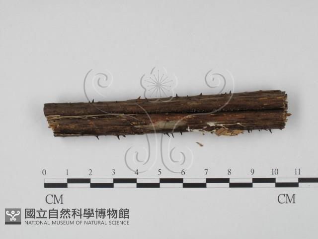 登錄號:F0005378藏品圖，第1張