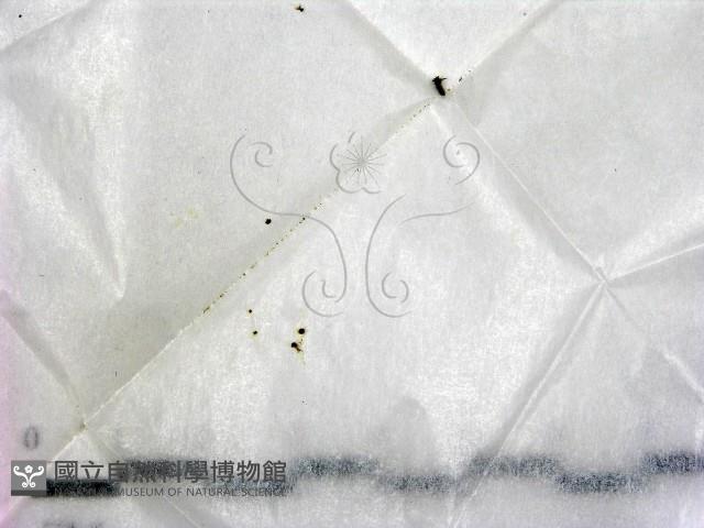 登錄號:F0019378藏品圖，第1張