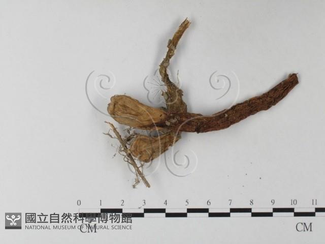 登錄號:F0023378藏品圖，第1張