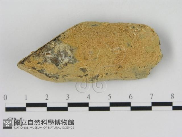 登錄號:F0000260藏品圖，第1張