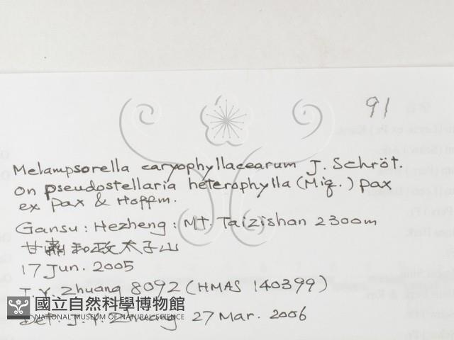 登錄號:F0026260藏品圖，第3張