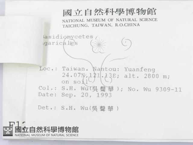 登錄號:F0001260藏品圖，第3張