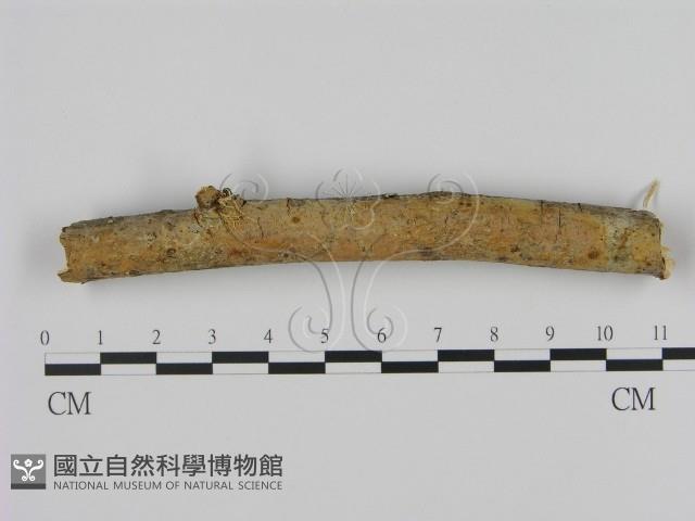 登錄號:F0012260藏品圖，第1張