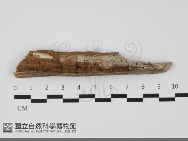 登錄號:F0032260藏品圖，第1張