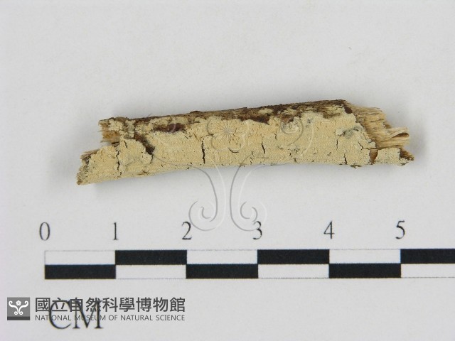 登錄號:F0002860藏品圖，第1張
