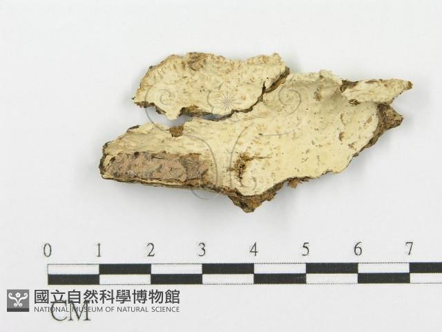 登錄號:F0007860藏品圖，第1張