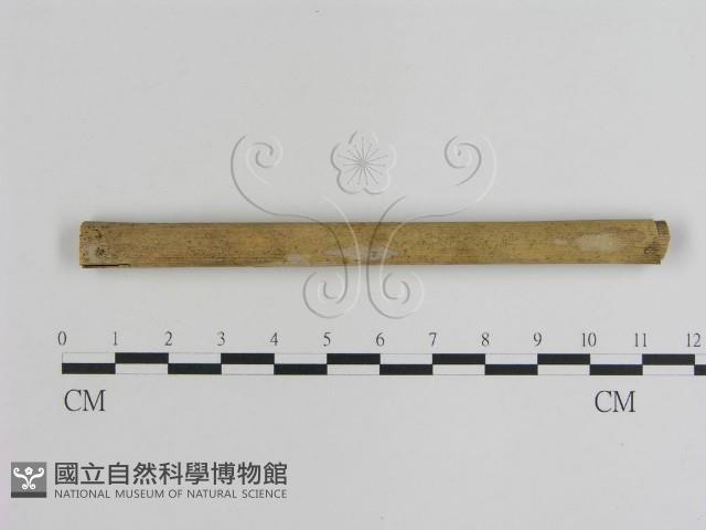 登錄號:F0008960藏品圖，第1張