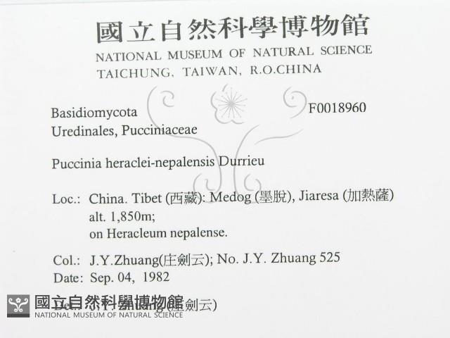登錄號:F0018960藏品圖，第3張