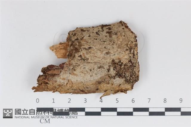登錄號:F0034960藏品圖，第1張