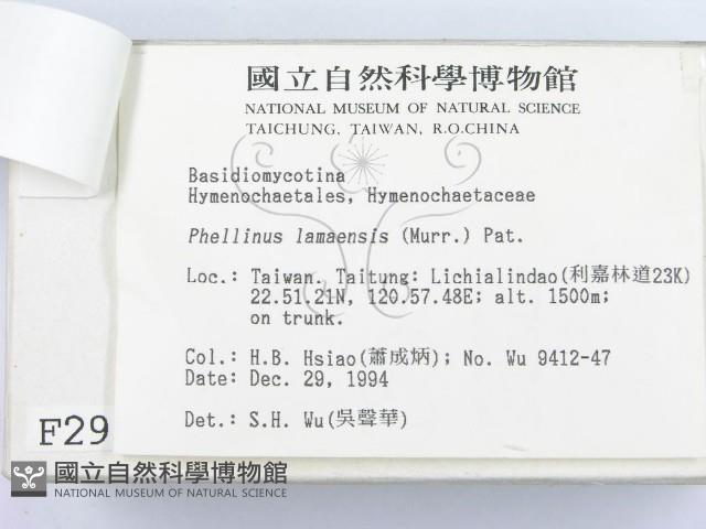 登錄號:F0002960藏品圖，第3張