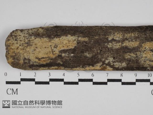 登錄號:F0029960藏品圖，第1張