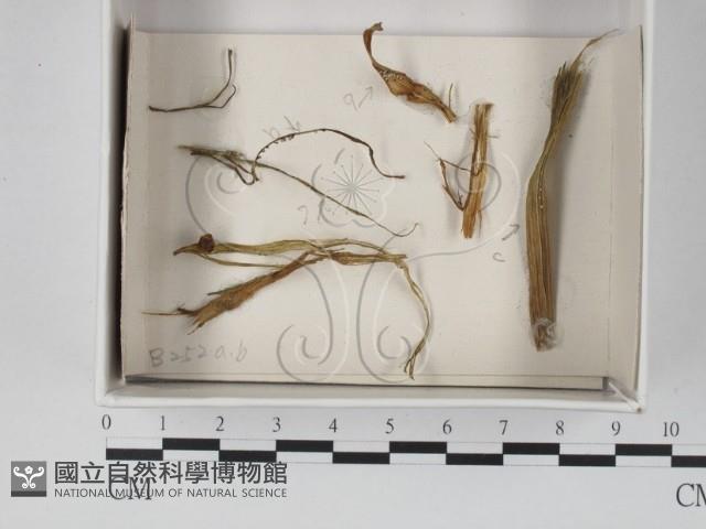 登錄號:F0018660藏品圖，第1張