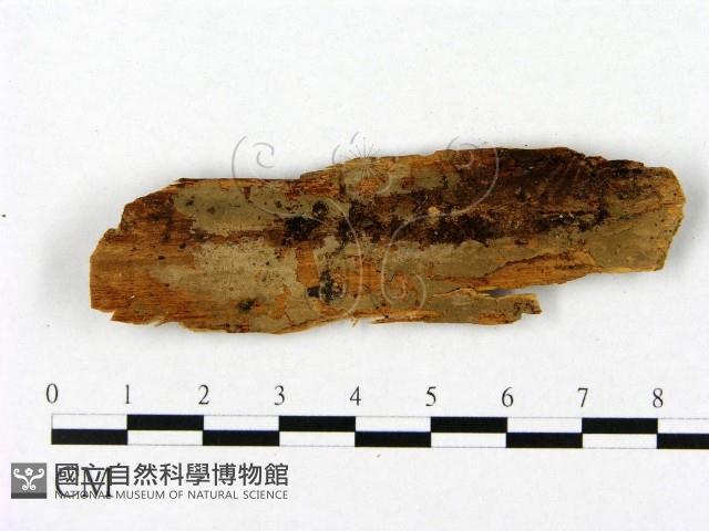 登錄號:F0016660藏品圖，第1張
