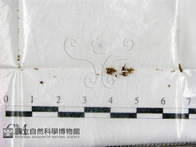 登錄號:F0001660藏品圖，第1張