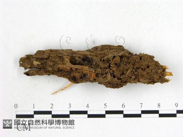 登錄號:F0014660藏品圖，第1張