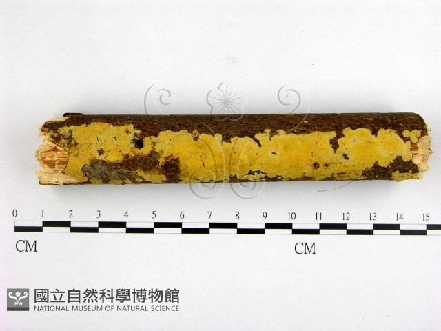 登錄號:F0007660藏品圖，第1張