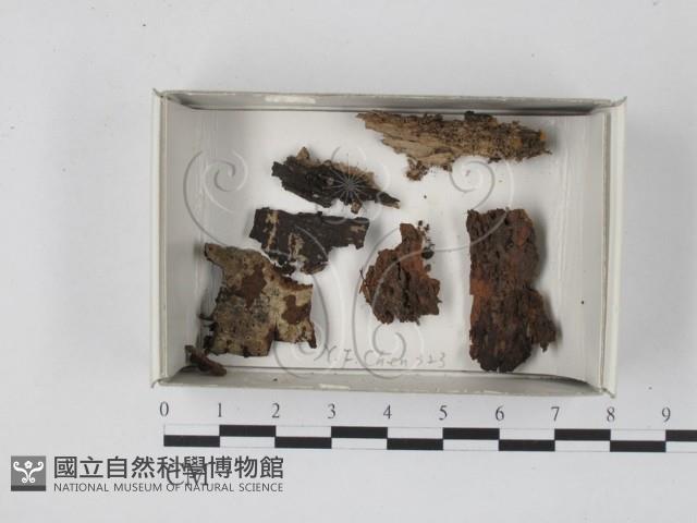 館號:F0018460藏品圖，第1張