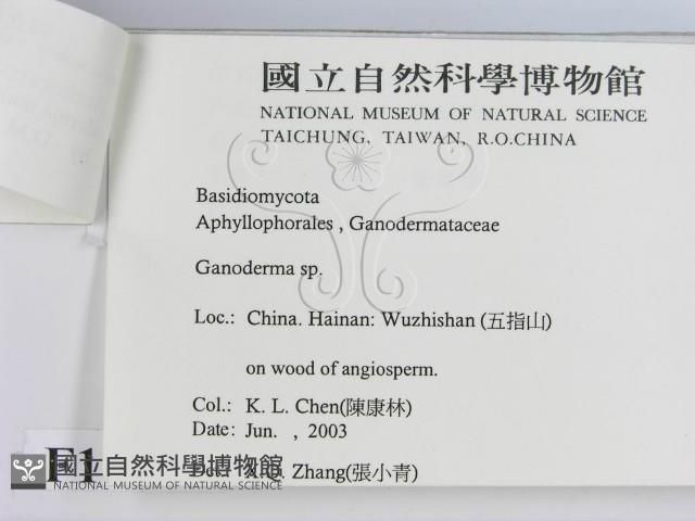 登錄號:F0016460藏品圖，第3張