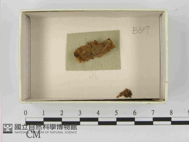 登錄號:F0021460藏品圖，第1張