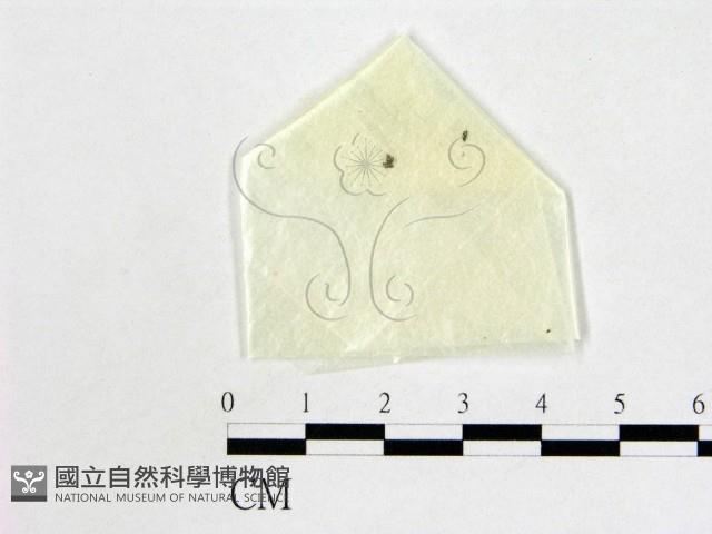 登錄號:F0004460藏品圖，第1張