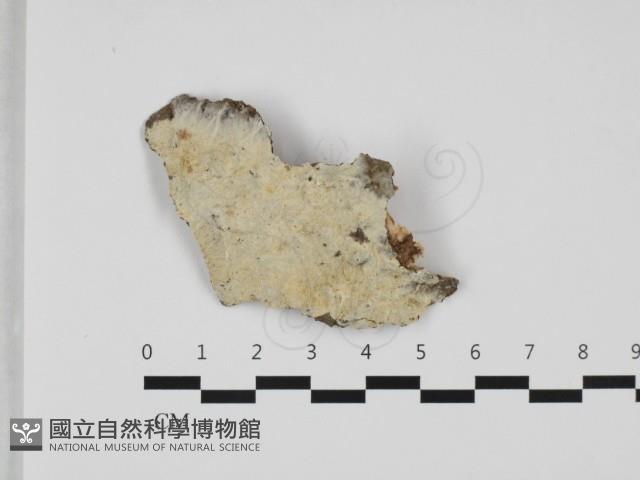 登錄號:F0032460藏品圖，第1張