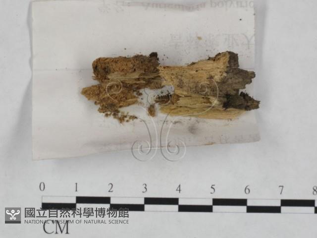 登錄號:F0023460藏品圖，第1張