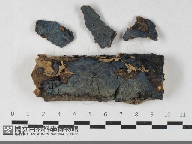 登錄號:F0033460藏品圖，第1張