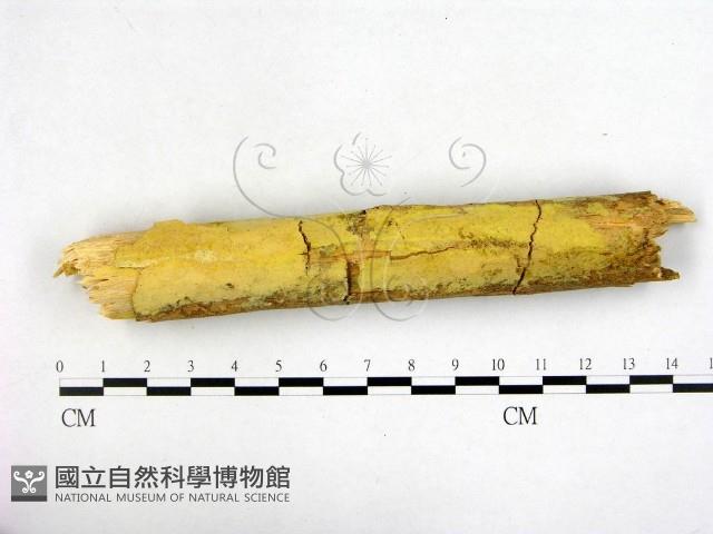 登錄號:F0021760藏品圖，第1張