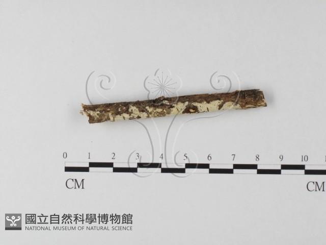 登錄號:F0024760藏品圖，第1張