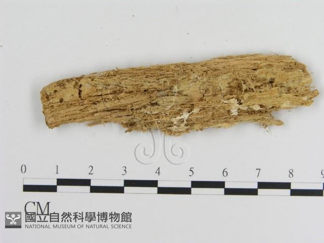 登錄號:F0015760藏品圖，第1張
