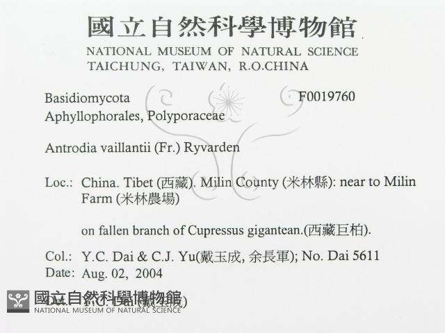 登錄號:F0019760藏品圖，第3張