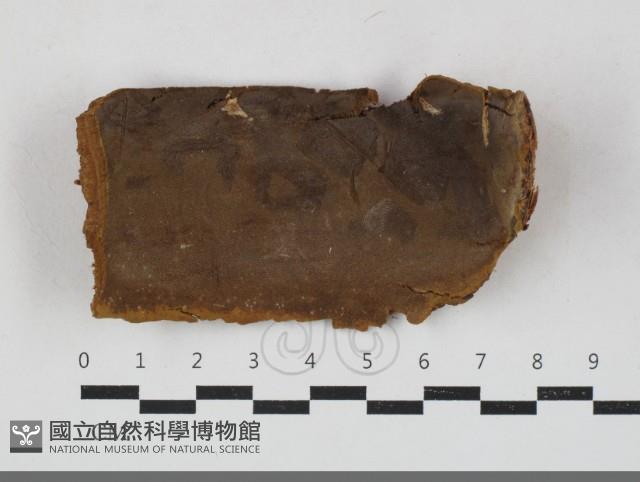 登錄號:F0033760藏品圖，第1張