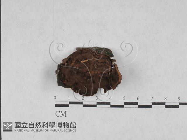 登錄號:F0028560藏品圖，第1張