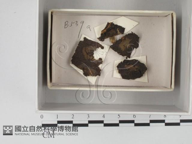 登錄號:F0018560藏品圖，第1張