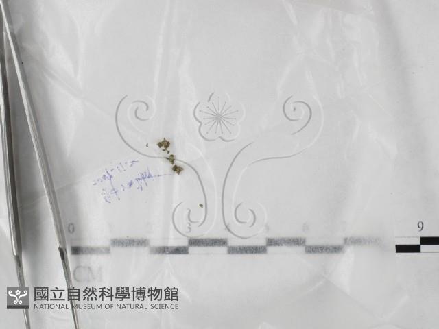 登錄號:F0023560藏品圖，第1張