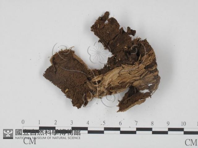 登錄號:F0008160藏品圖，第1張