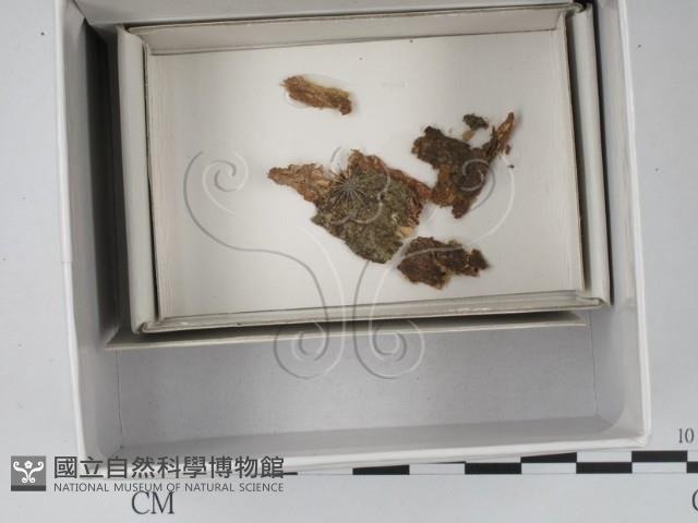 登錄號:F0018160藏品圖，第1張