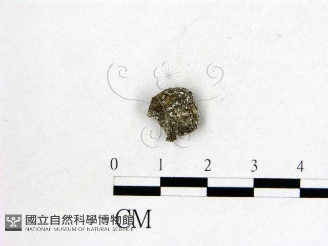 登錄號:F0000160藏品圖，第1張