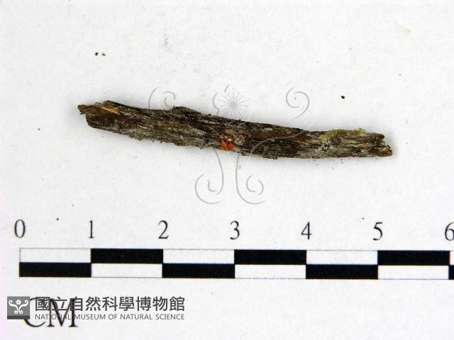 登錄號:F0001160藏品圖，第1張