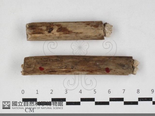 登錄號:F0034160藏品圖，第1張