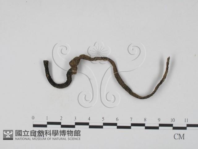 登錄號:F0005160藏品圖，第1張