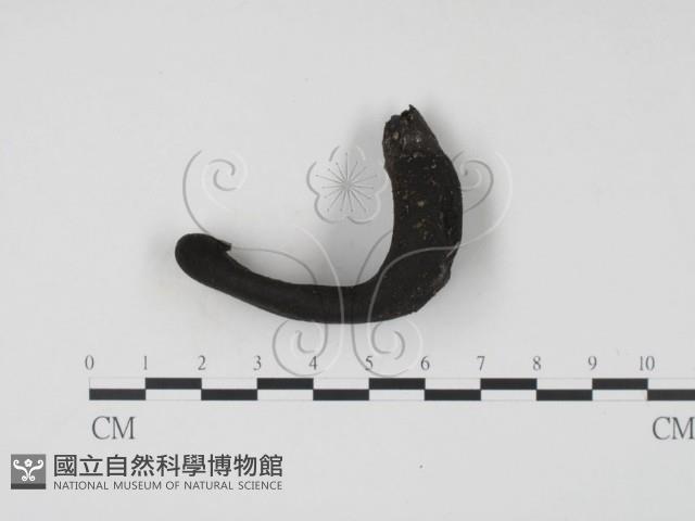 登錄號:F0004060藏品圖，第1張