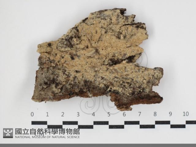 登錄號:F0034060藏品圖，第1張