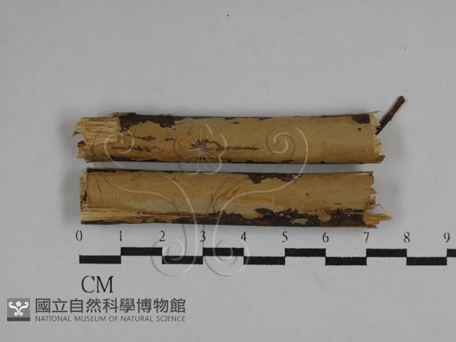 登錄號:F0009060藏品圖，第1張